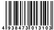 JAN:4938473013103